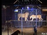 Kid Bauer au 20ème European Circus Festival (Part. 2)