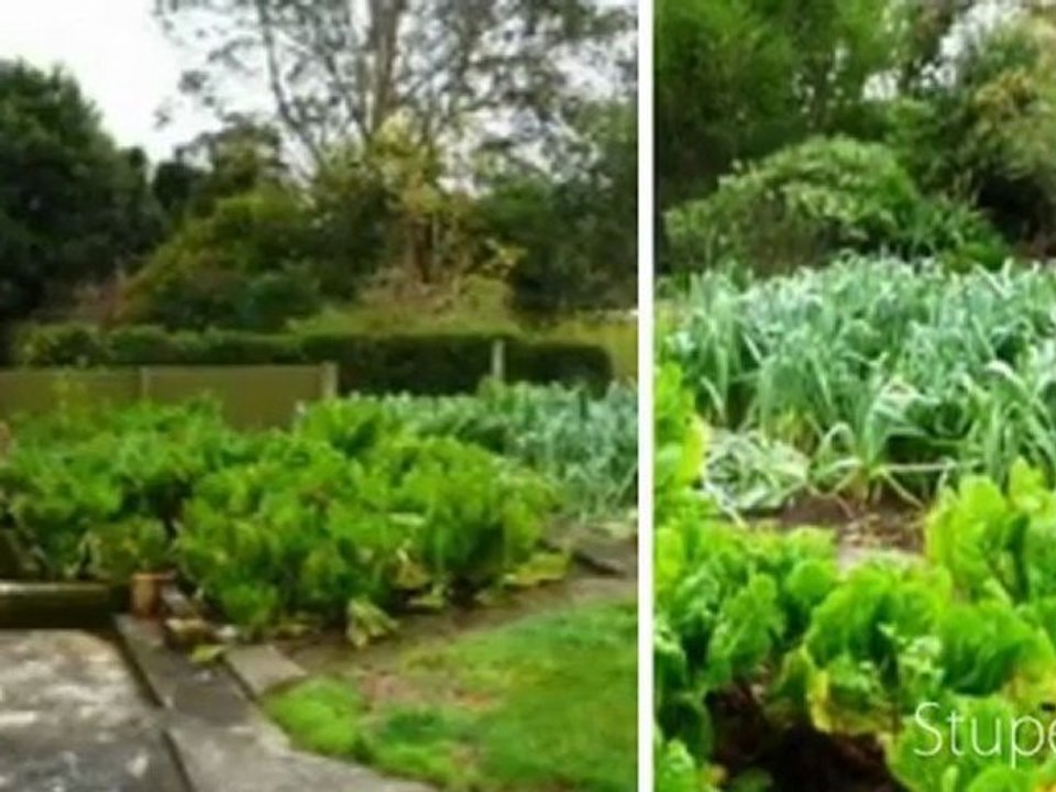 Houses for Sale New Lynn Auckland