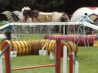 Armbouts Cappel - 24 Juillet 2011 (Bambou)