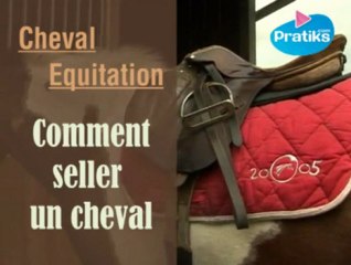 Equitation - Comment seller un cheval ?