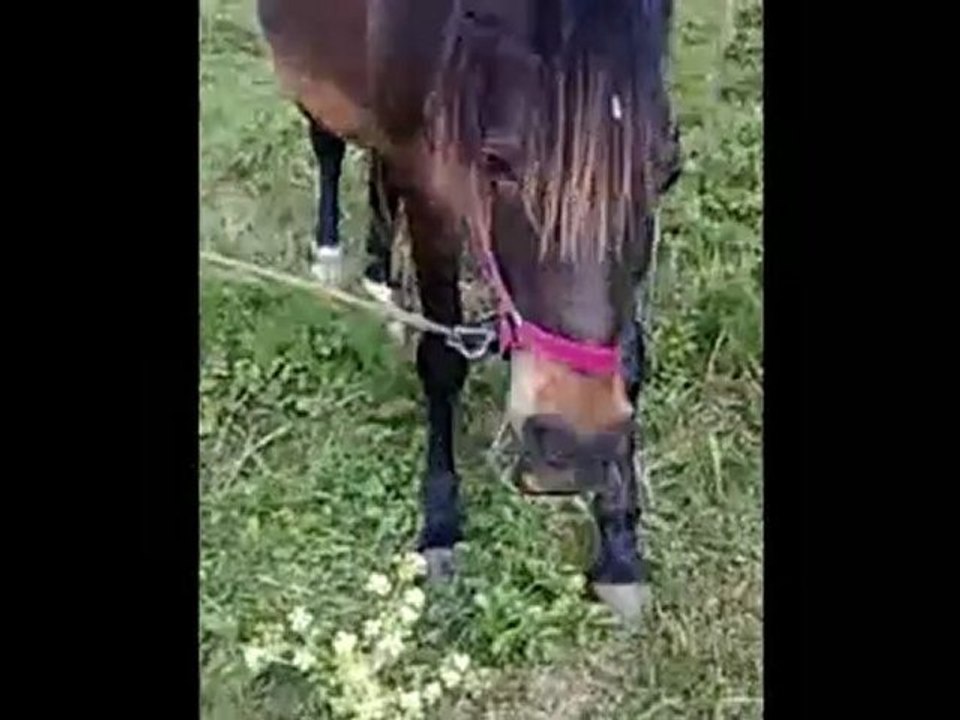 Tous ceux  que jaime est loin de moi