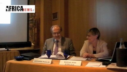 Forum Africa 2011 - press briefing 2di6