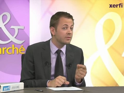 Xerfi Canal Logistique : la secousse du e-commerce - Secteur et marché Alexandre Boulègue