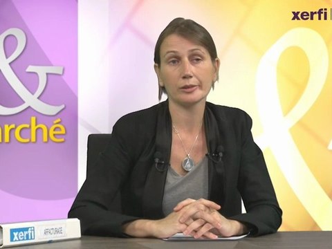 Xerfi Canal Auto-entreprise ou pseudo-entreprise ? Secteur et marché Sabine Gräfe