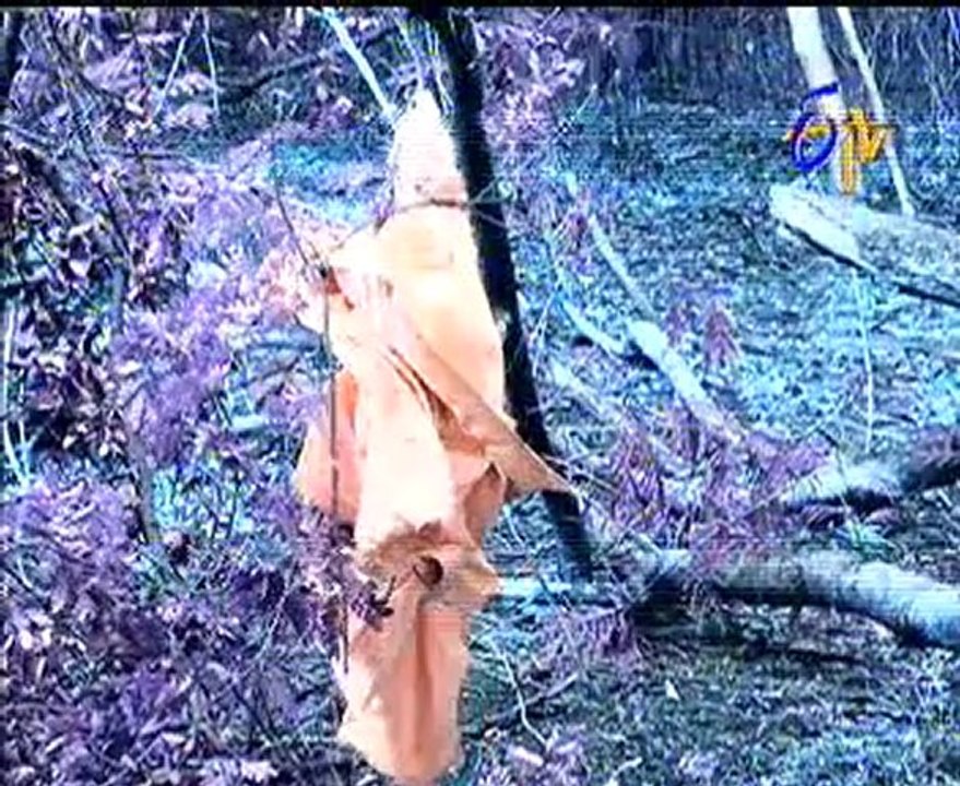 Sambhavi - Episode 17