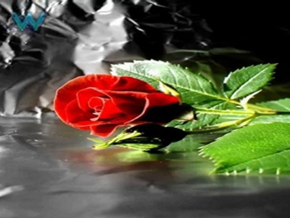 Ahu gözlüm - Şükret ASLAN