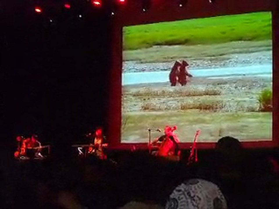 THE BOOKS at I'll Be Your Mirror, London, 2011.