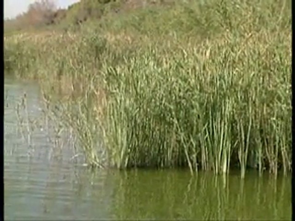 informatiu 26-07-2011