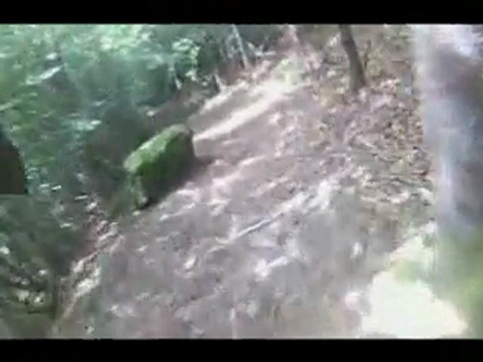 descente vtt bois de Lançon