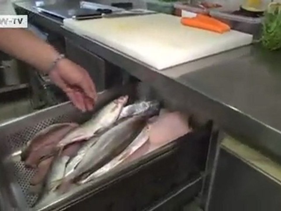 Fried whitefish stuffed with herbs, served with baked tomato, arugola, carrots and rosemary potatoes | euromaxx