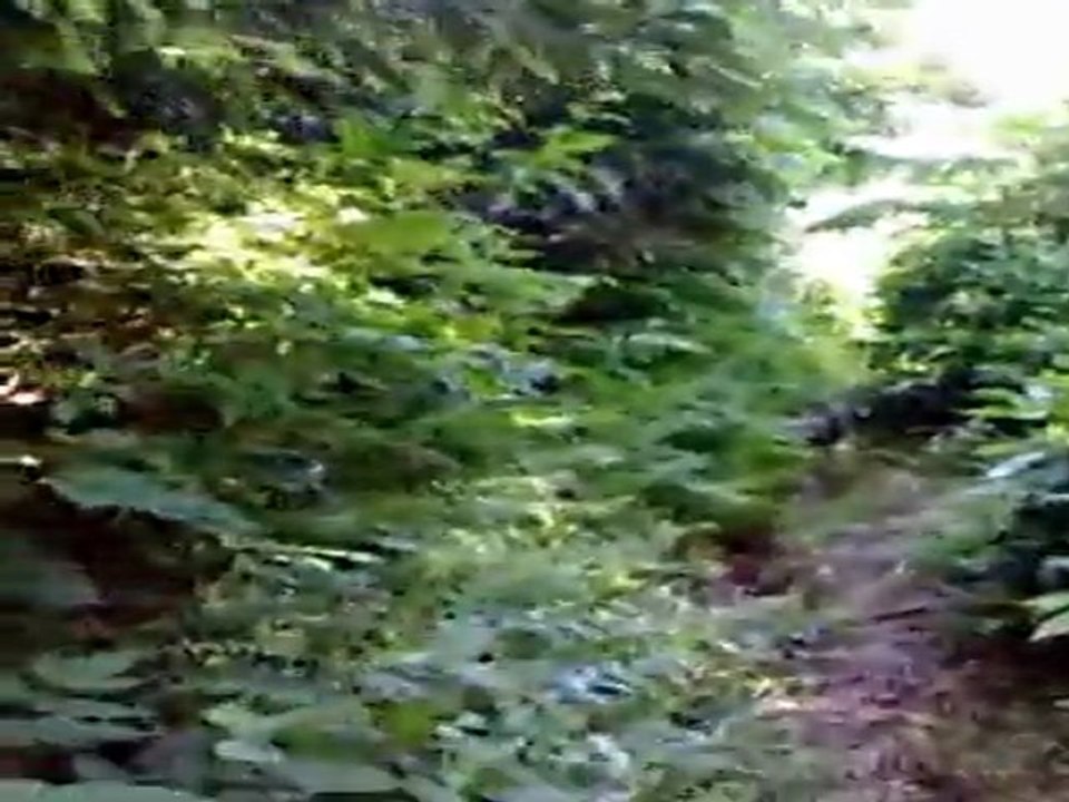 hurmalikköyü Iladan deniz niyazi ardal