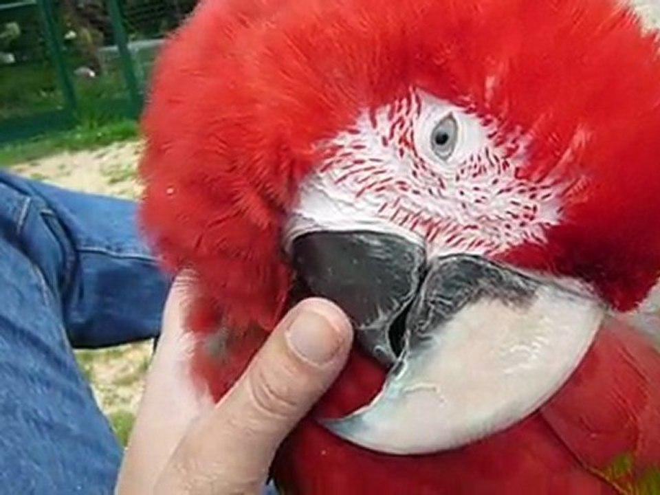 Un peu de tendresse
