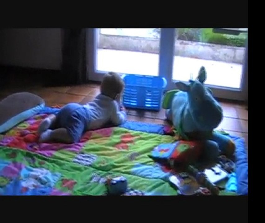 J'y suis presque au 4 pattes