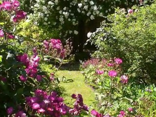 Dans le jardin d'André Eve entre amis jardinautes