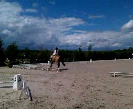 Lamotte 2011 RLM Club 2 sénior excellence