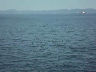 baleines tadoussac 2
