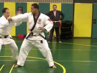 Best Self Defense | double knife slash