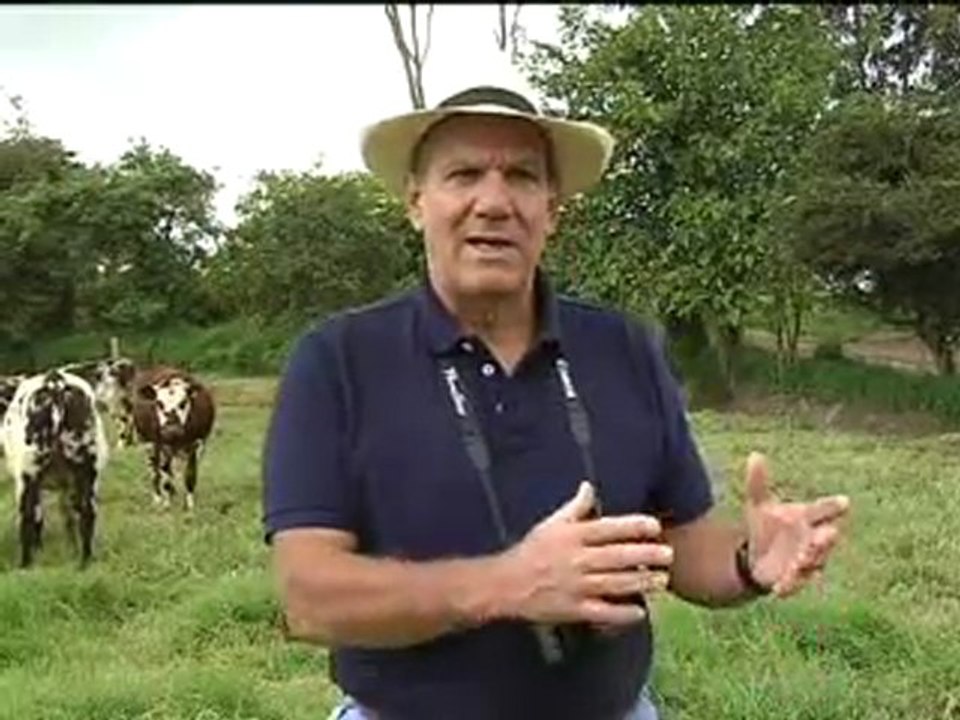 26 JULIO 2011_1