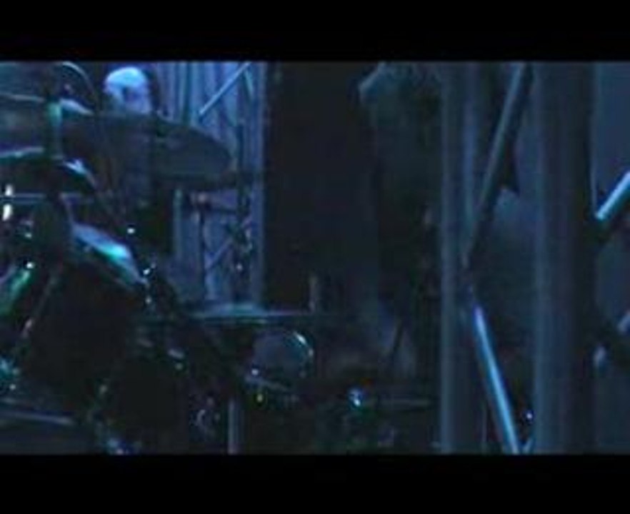 Asp - Schwarzer Schmetterling