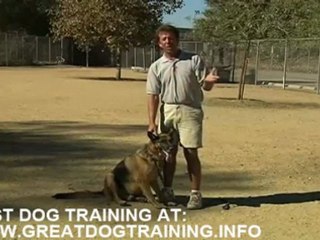 Dog training - learn how to train your dog