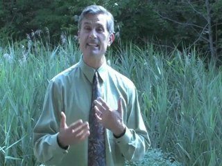 ReachOut Communications, Facebook for Small Businesses,