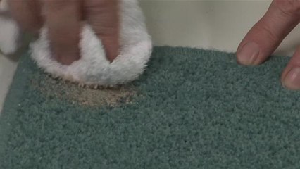 How To Remove Paint From Carpet