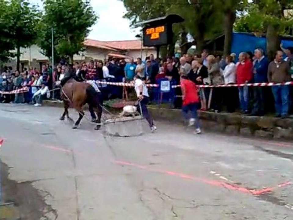 Santa Anako Zaldi Probak