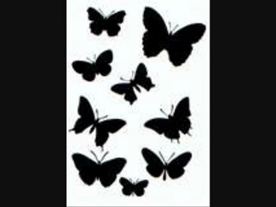 DIAPO BUTTERFLY1121