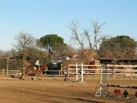 Cours d'obstacle avec Ulysse