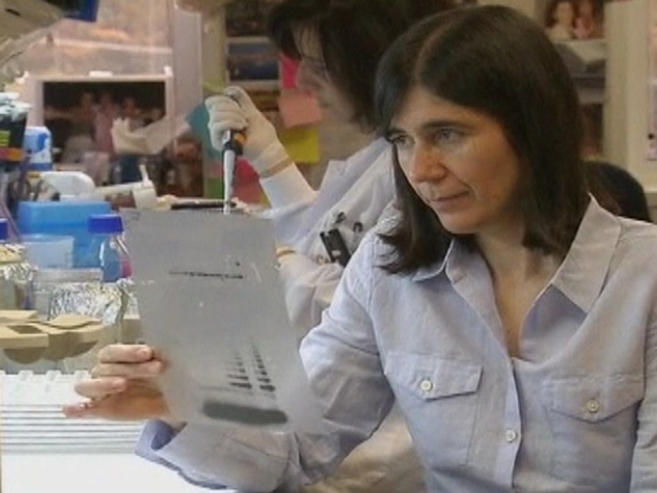 Controversy Surrounds New Telomere-Measuring Blood Test