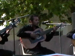 les 100 guitares gipsy