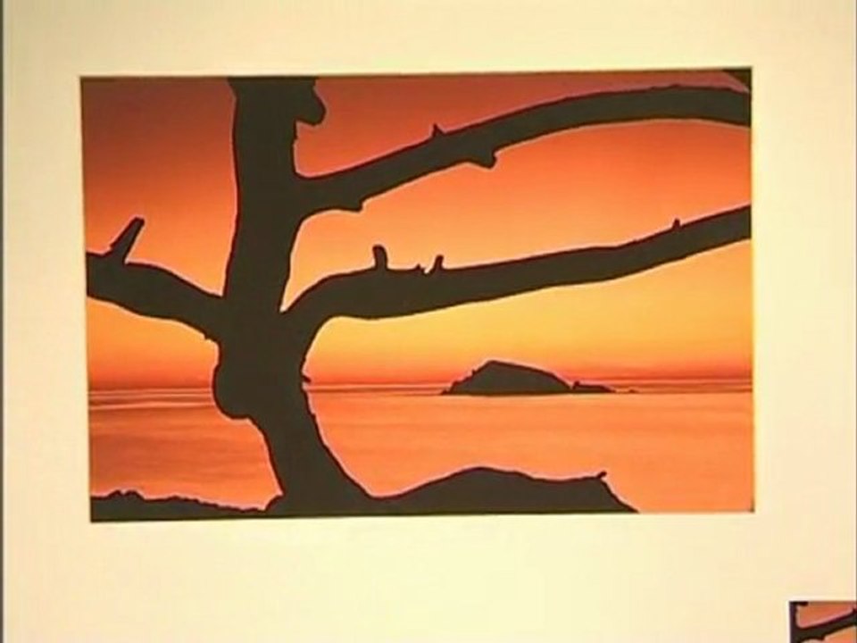 Cavalaire - Exposition Entre mer et collines