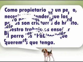 adiestramiento-de-perros