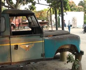 Bufalo  the grandson of a king  Beira  Mozambique v