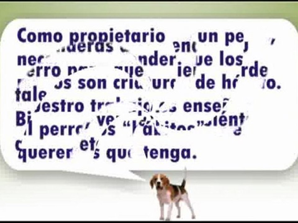 adiestramiento-perros