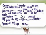 como-adiestrar-perros