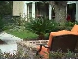 Live Oak Tree Removal Mount Pleasant SC
