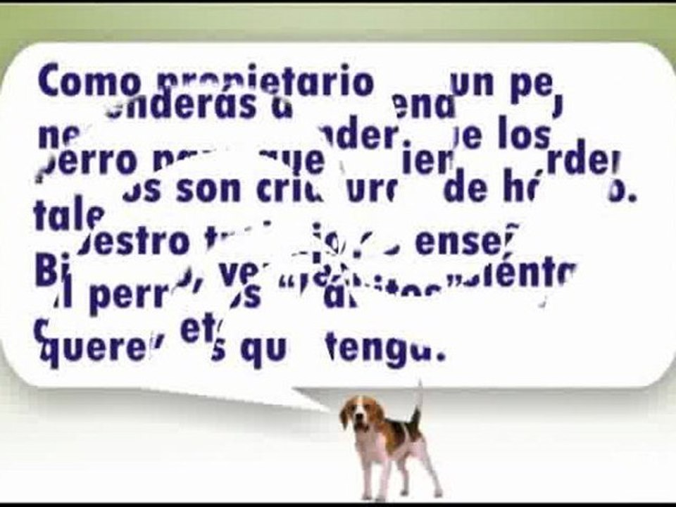 como-entrenar-a-un-perro