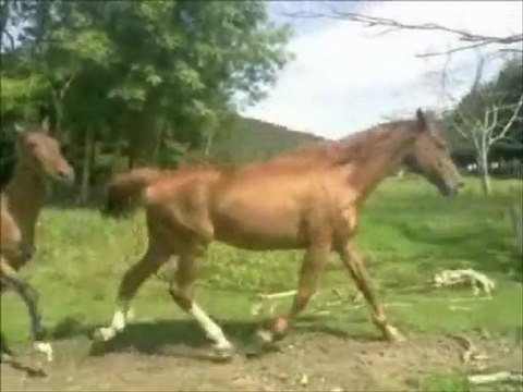 papy fait le fou avec son nouveau copain