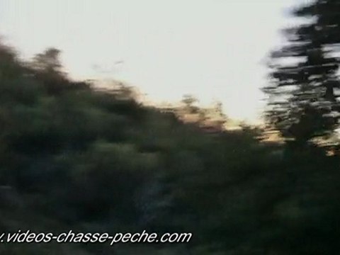 Chasse grive à la remontée - Caméra embarquée Contour HD