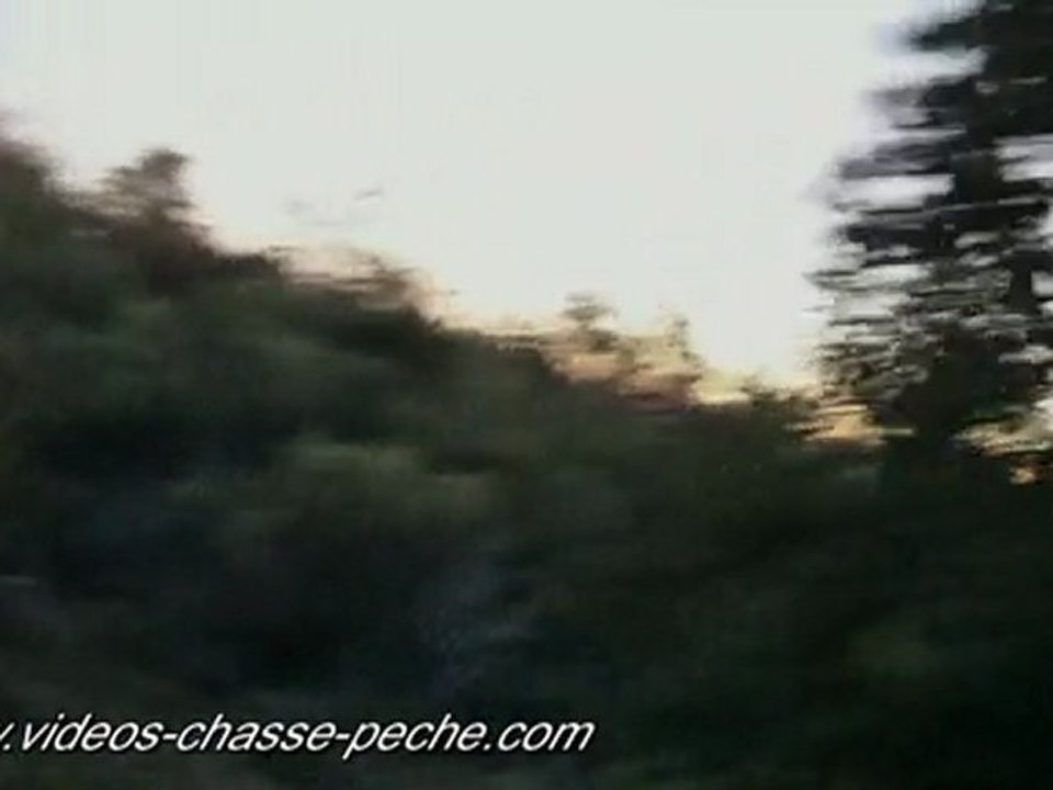 Chasse grive à la remontée - Caméra embarquée Contour HD