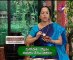 Jeevana Jyothi - Ayurveda - Yoga - Health Treatment - 01