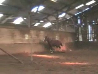 Usko de Kervel (mars 2011)