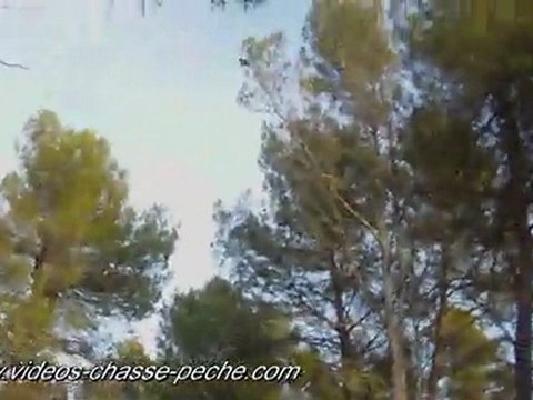 Chasse aux geais - Caméra embarquée Contour HD