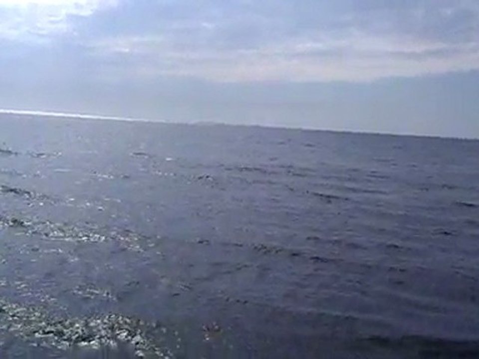 HTC Desire Z test video 720p HD, recorded with Android 2.3 (Gingerbread).