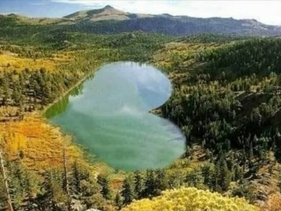 Özlem Kandemir  özel..