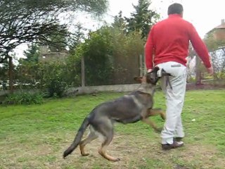 Jugando al sitz, platz, auss.