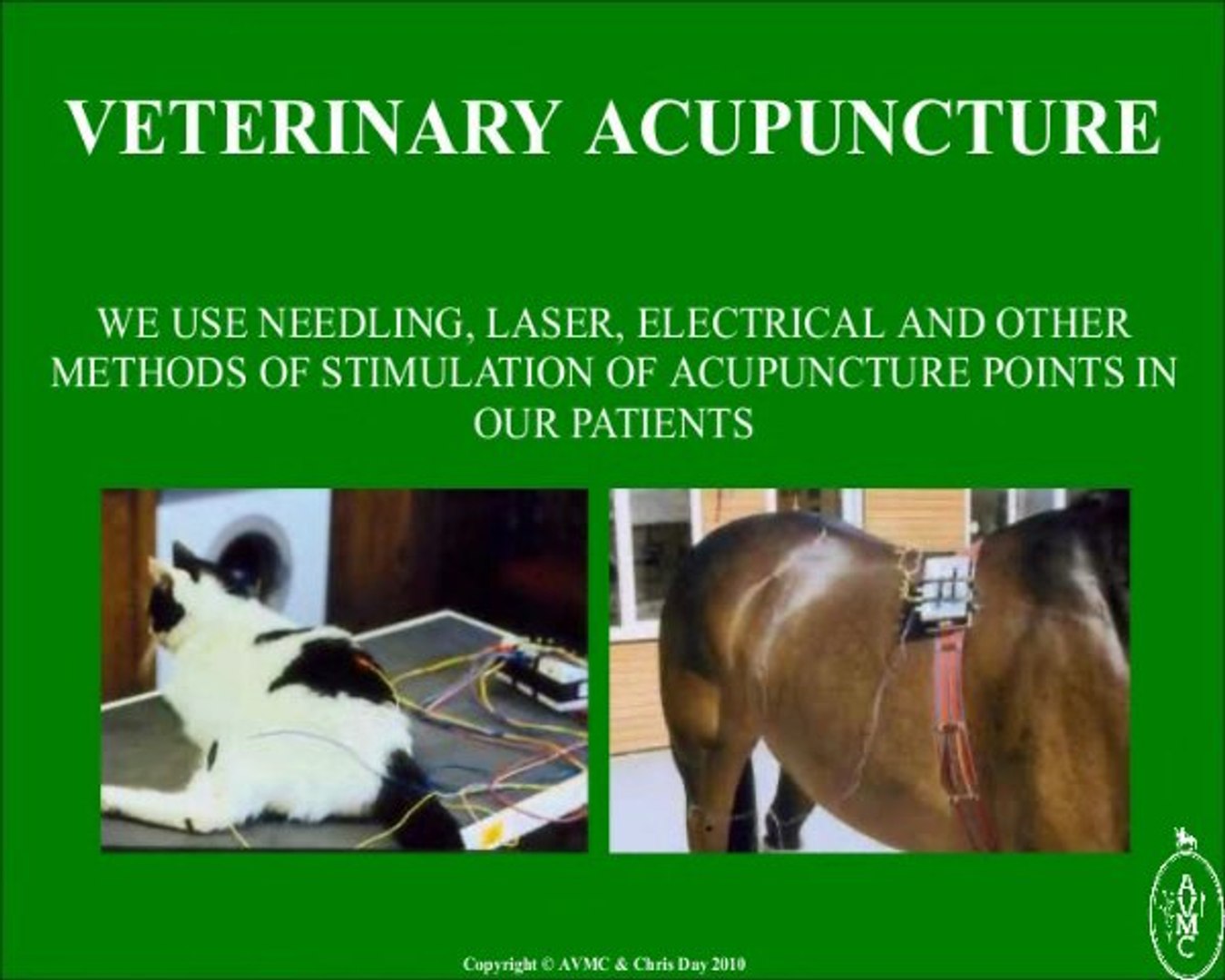 ⁣Alternative Veterinary Medicine - Holistic Vet UK