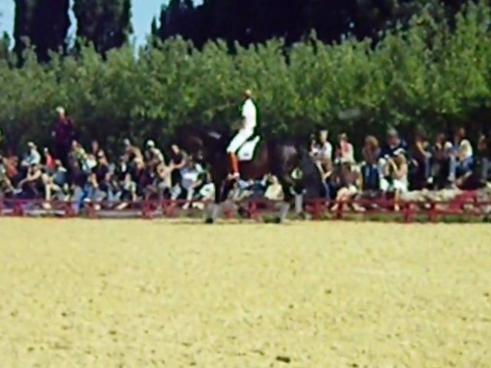 IMGP0537
