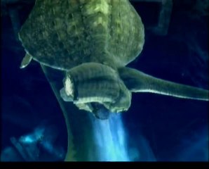 Combat Ceadeus Monster Hunter Tri P1